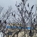 건국여성경로당 이미지