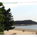 진짜루 이미지