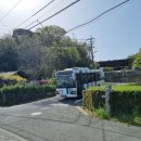 섬마을바다 이미지