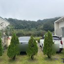 온화한가(온송) 이미지