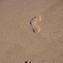 오늘hair 이미지