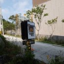 파스타나야 이미지