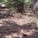 삼웅2리 마을회관 이미지