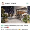 오스테이 이미지