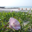 요술상자 이미지