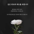 산청동물의료센터 이미지