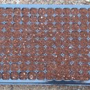 농부맘마트 이미지