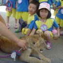 동실유치원 이미지