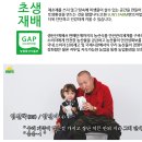 썬스팜