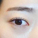 라보떼래쉬 | 관리의시간 인계동 속눈썹 펌 라보떼래쉬 수원점 후기