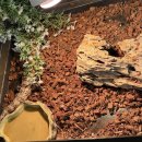 새별 | 제주 아기와함께 애월 새별프렌즈동물원 솔직후기 (유모차ok)