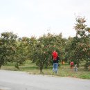 청도어린이집 이미지