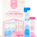 츄츄애견 이미지