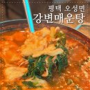 강변매운탕 | 평택 오성강변맛집 칼칼하고 깊은 맛이 일품인 강변매운탕