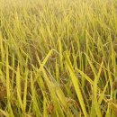 윤서농장 이미지