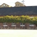 대성여자중학교 이미지