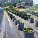 동환농장 이미지