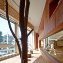 모쿠모쿠 이미지