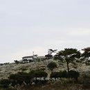 학마을농장 네이버블로그
