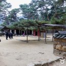 게스트 하우스 소나무 이미지