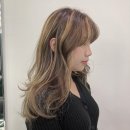 하이라이트헤어살롱 네이버블로그