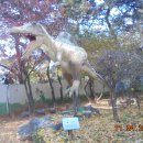 창조자연사박물관 이미지