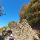 포에프 트레이닝 이미지