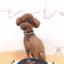 댕댕공방 이미지