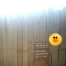 에버랜드 추천 코스 2탄 아마존 익스프레스 + 사파리 월드 운영 시간 내 로스트밸리 가족패키지로...
