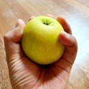 민아농장 이미지