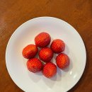 남해 낭만스테이 이미지