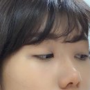 바비컬 | 트윙컬 노글루 속눈썹 2#바비 후기 | 무쌍도 5초 셀프속눈썹연장 성공!