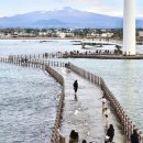 푸른신창 이미지