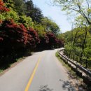 쌍치의원 이미지