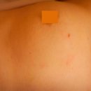 심외과의원 이미지