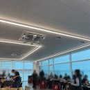 꽃게품은닭 이미지