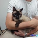 맥스동물병원 이미지