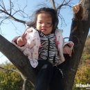 은자 농장 이미지