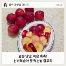 복고개복숭아