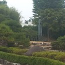 무 진 정 이미지