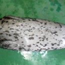 옥도면 주민센터 이미지