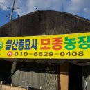 일산종묘사