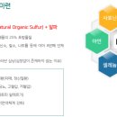 (주)나투어바이오제약