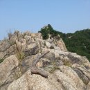 향로식당 이미지