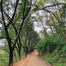 장동 계족산마을 이미지