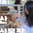 상몽농장 이미지