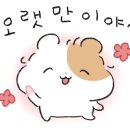 주식회사 서우 이미지