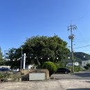 포구나무민박 이미지