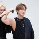 암스트롱 이미지