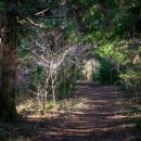 위(WE)호텔 이미지